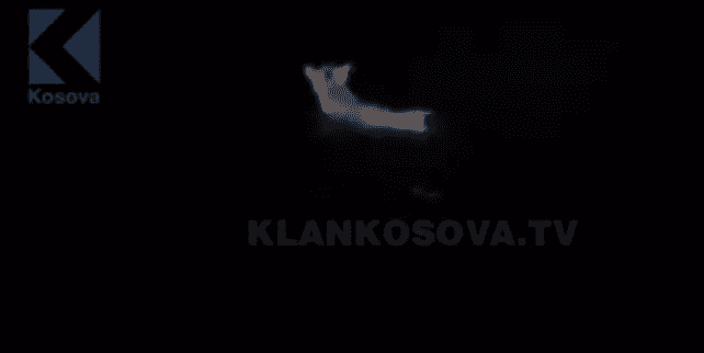 Macja e egër kapet duke peshkuar në liqenin e Komanit