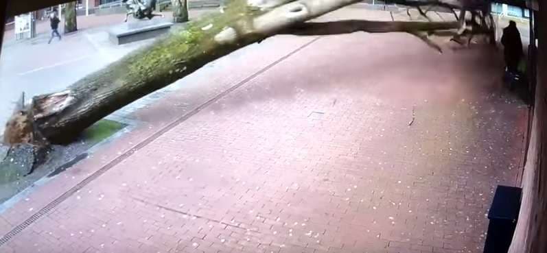 Pema për pak sa nuk e vret nënën me fëmijën (Video)