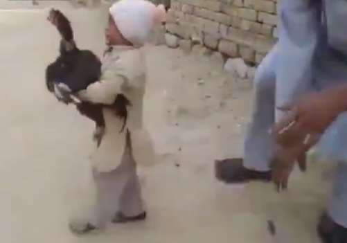 Djaloshi e shpëton gjeldetin nga babai i tij (Video)