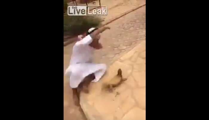 Luan me hardhucën, mendon se është e ngordhur (Video)