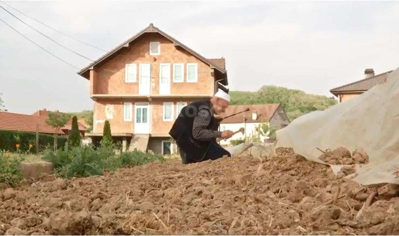 103 vjeçari punon tokën (VIDEO)