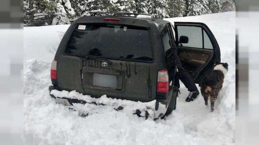 Makina e mbuluar nga bora: Nxirren të gjallë pas pesë ditësh një burrë dhe qeni i tij