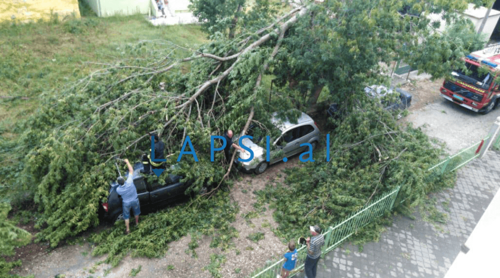 Moti i lig shkakton dëme në Shkodër, pemë të thyera mbi makina (FOTO)