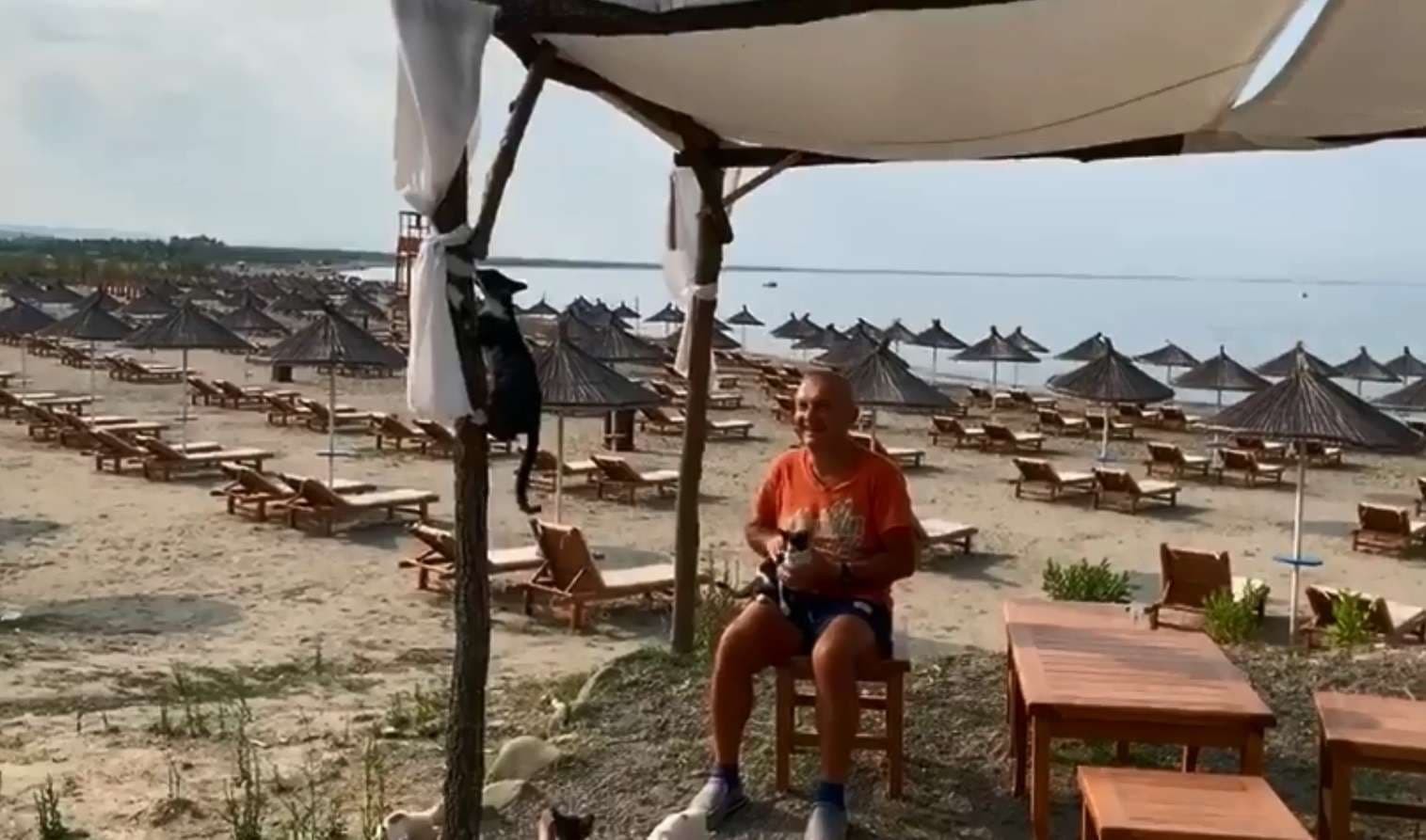 Ilir Meta e kalon mëngjesin me mace (VIDEO)