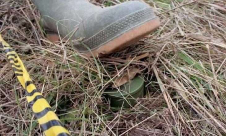 Po pastronte pyllin, suharekasi has në një mjet të pashpërthyer