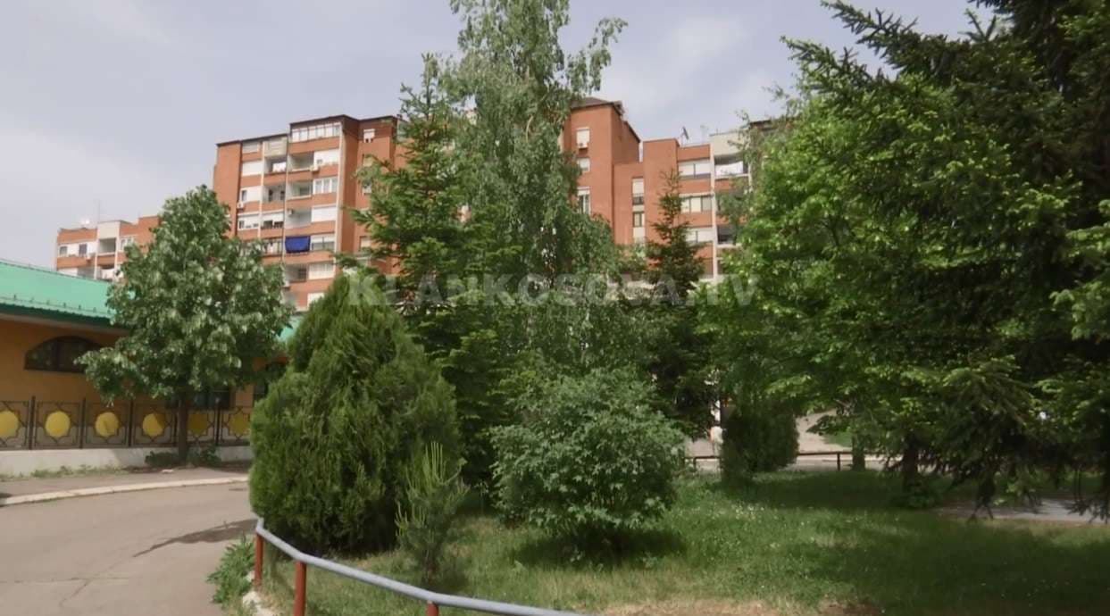 Mushkonjat vërshojnë Prishtinën (VIDEO)