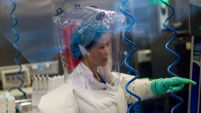 Shkencëtarja e laboratorit në Wuhan paralajmëron shpërthime të tjera virusesh