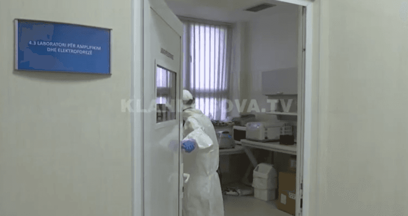 Vetëm pesë ditë pushim për mantelbardhët (VIDEO)