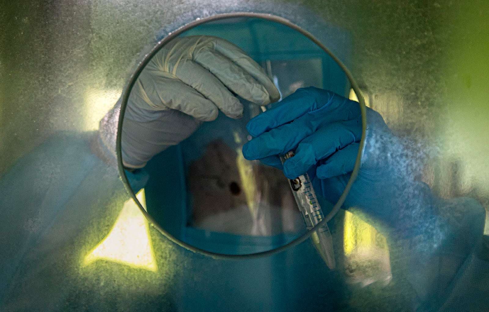 Zelanda e Re raporton 14 raste të reja me koronavirus për 24 orë