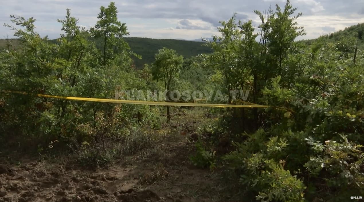 Pas dy dekadash kërkimi, gjen eshtra që dyshon se janë të vëllait (VIDEO)