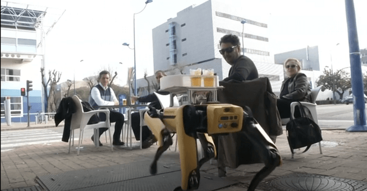 Robotët shpërndajnë birra në baret e Spanjës (VIDEO)