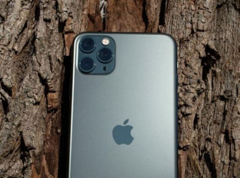 iPhone 11 i kthehet pronarit pas gjashtë muajsh