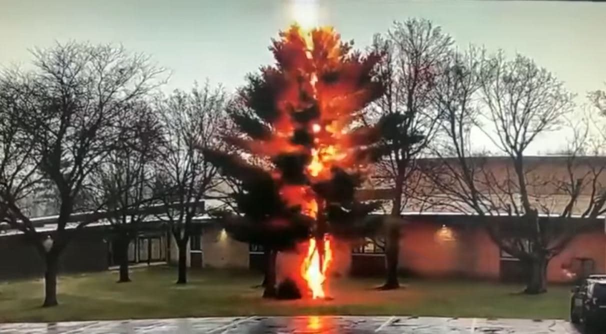 Rrufeja shkatërron pemën në oborr të shkollës (VIDEO)