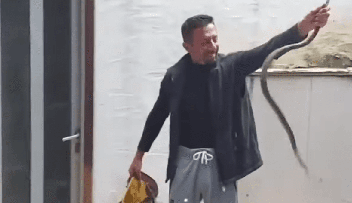 Hysni Rexhaj, vazhdon ‘traditën’, nxjerr edhe një gjarpër nga një objekt (VIDEO)
