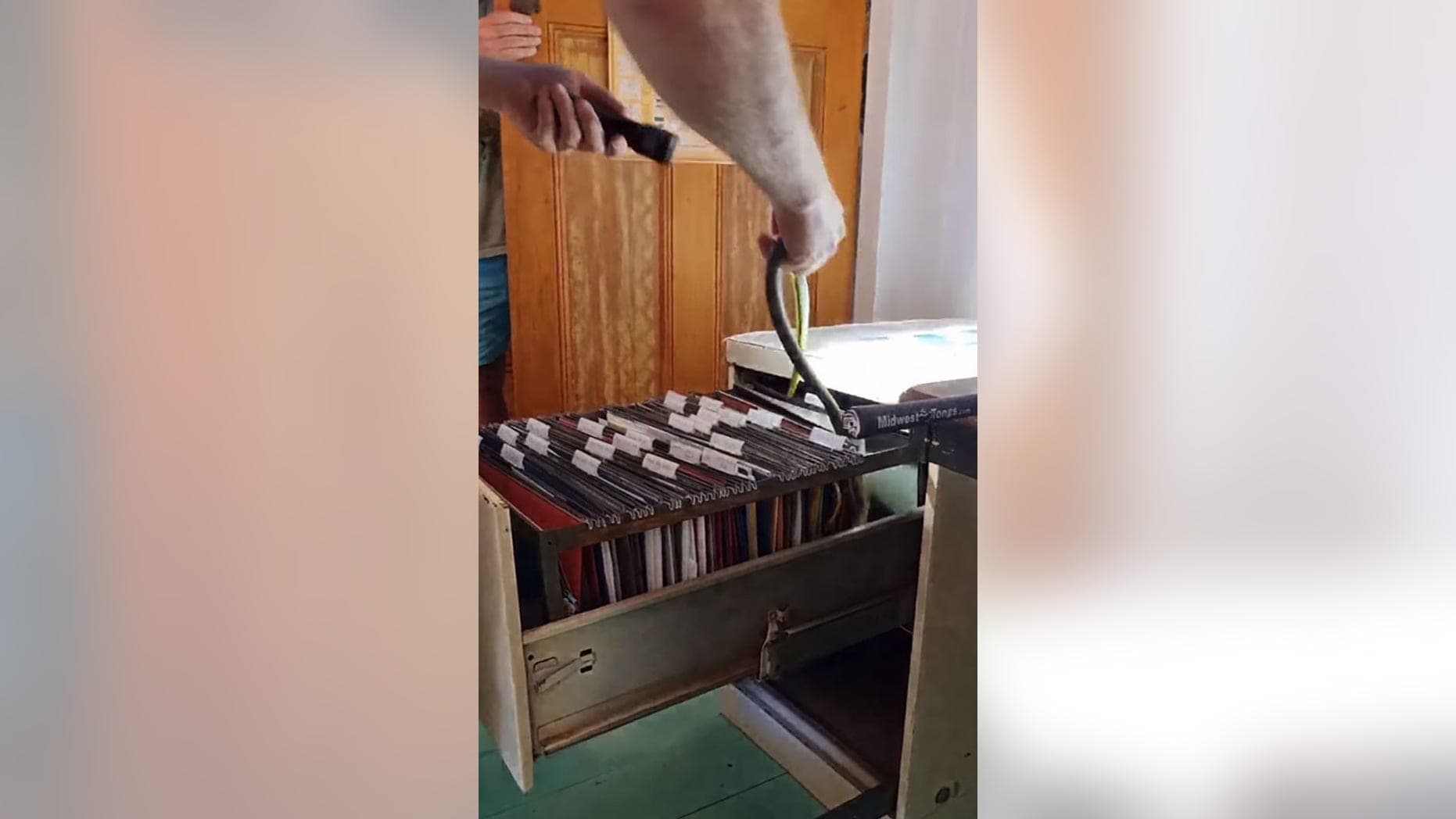 Gjarpri i fshehur në dokumente e surprizon pronaren e shtëpisë (VIDEO)