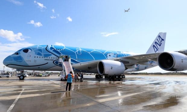 Kaos në aeroport, breshka vonon pesë aeroplanë