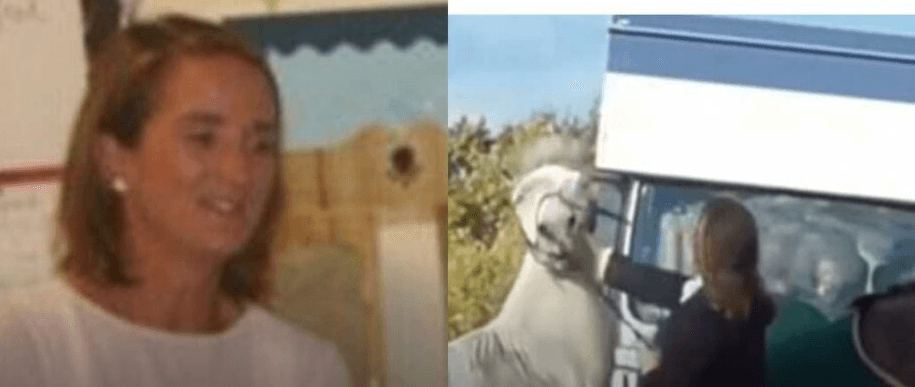 Pezullohet nga puna mësuesja që goditi me shuplakë dhe shqelma një kalë (VIDEO)