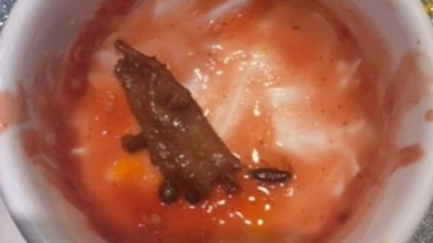 Gjeti një kacabu në ushqimin e restorantit (FOTO)