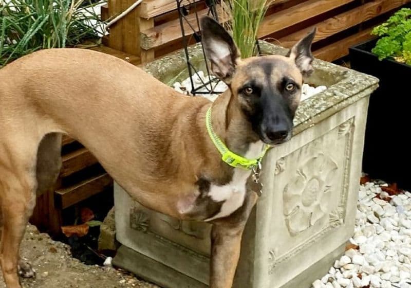 Qeni me aftësi të kufizuara, bëhet me familje në kohën festave të fundvitit (FOTO)