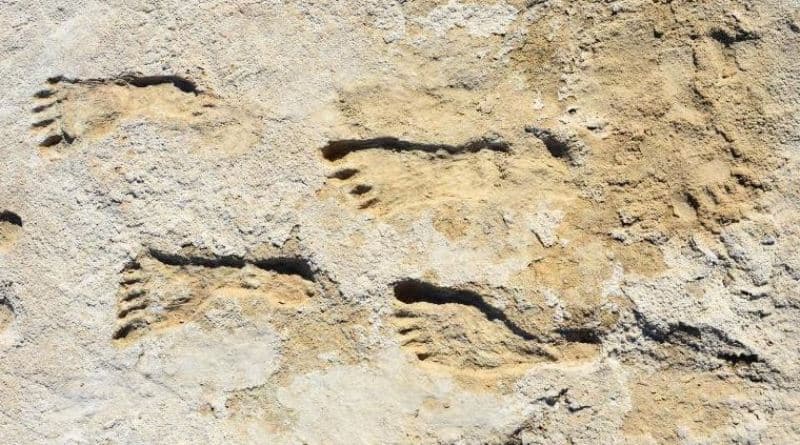 Zbulimet e lashta njerëzore që dominuan gjatë këtij viti: Ja çfarë mësuam
