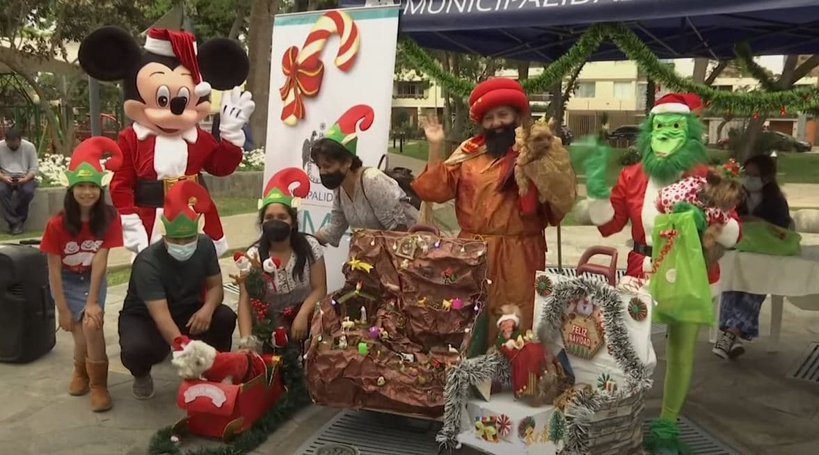 Kafshët sfilojnë në pasarelë për Krishtilindje në Lima (VIDEO)