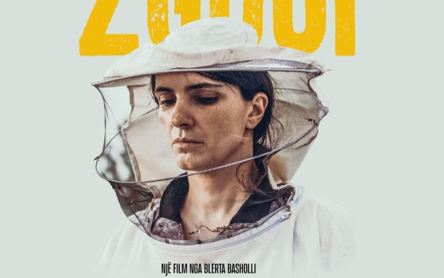 Qeveria ndan mbi 95 mijë euro për filmin "Zgjoi"