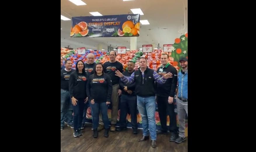 Prezantohet ekspozita më e madhe në botë e agrumeve të mbledhura në dyqan, synohet rekordi Guinness (VIDEO))