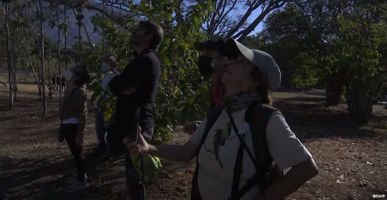 Venezuelasit marrin pjesë në numërimin e zogjve në Karakas (VIDEO)