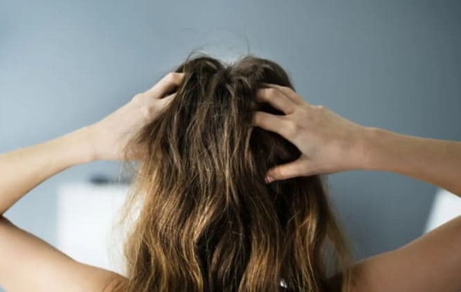 Disa mënyra shtëpiake për të hequr qafe puçrrat e kokës