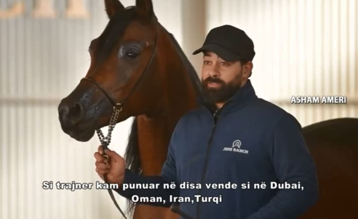 Asham Ameri, iraniani që erdhi në Kosovë për trajnim të kuajve (VIDEO)