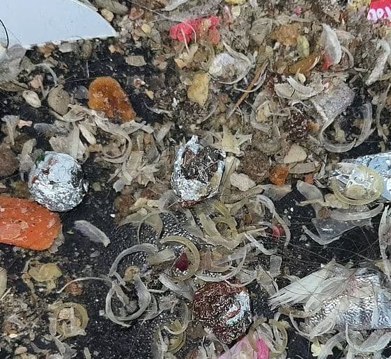 Blejtën divan të dorës së dytë, çifti shokohet pasi gjen mijëra thonj të prerë brenda tij