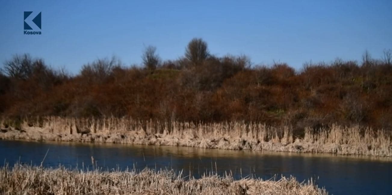 Dy lloje të peshqve zhduken nga liqeni i Vasilevës (VIDEO)