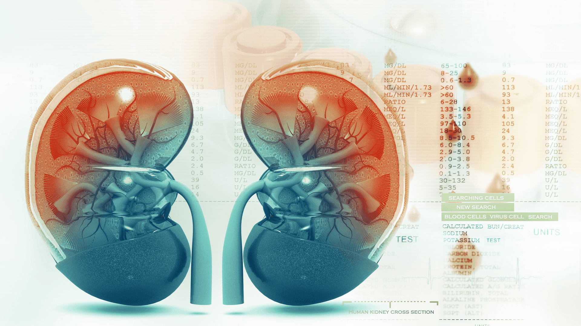 Si bëhet diagnostikimi i sëmundjeve të veshkave? (VIDEO)