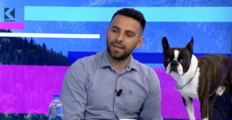 Dog show international "Dukagjini Cup" (VIDEO)