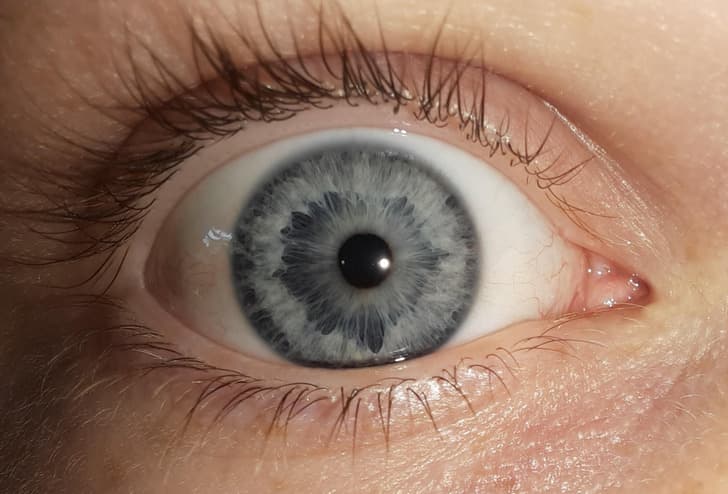 15 herë kur natyra vendosi ta tundë shkopin e saj magjik (FOTO)