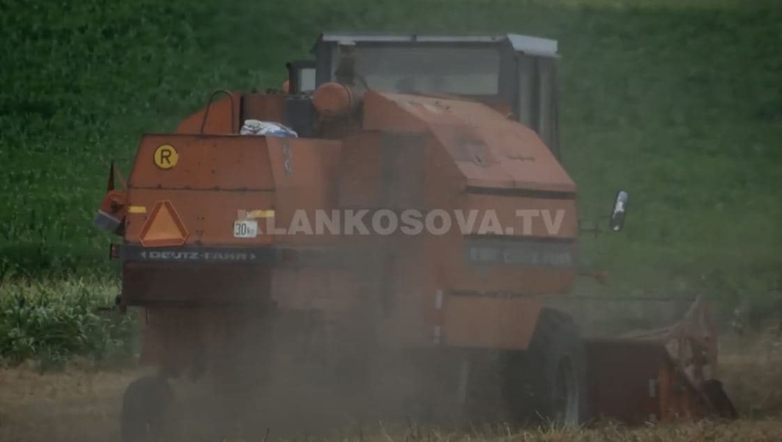 Gruri në Suharekë e Drenas nuk pagoi siç pritej (VIDEO)