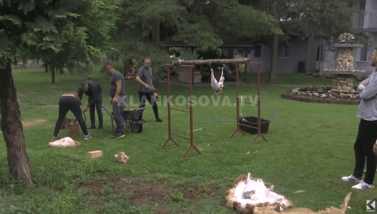 Deçanasit e vazhdojnë traditën, therin kurbanët nëpër oborre (VIDEO)     