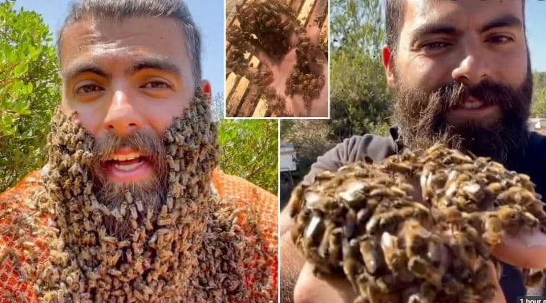 Libanezi 'i lejon' qindra bletë të qëndrojnë në mjekrën e tij (VIDEO)