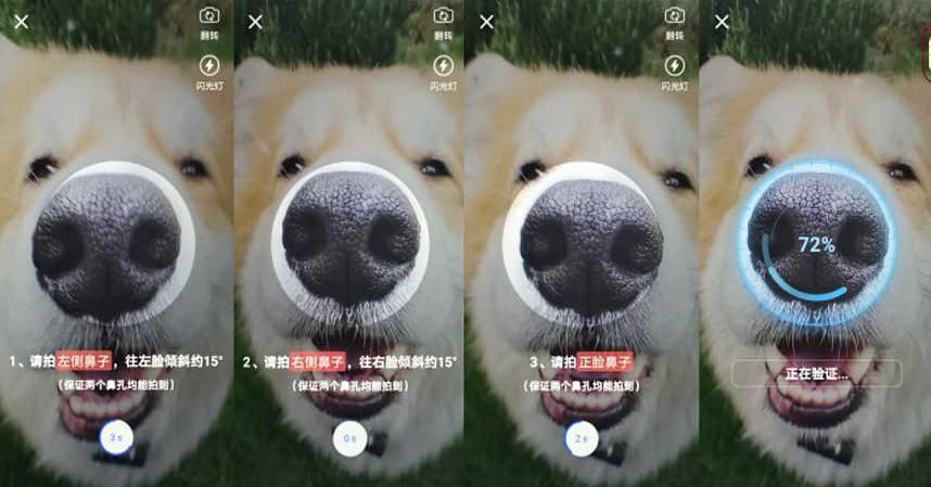 Teknologjia e printimit të hundës ndihmon në gjurmimin dhe identifikimin e qenve shtëpiakë