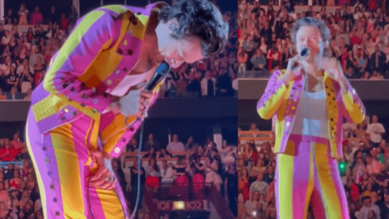 Edhe një incident për Harry Styles, goditet me shishe në pjesën intime (VIDEO)