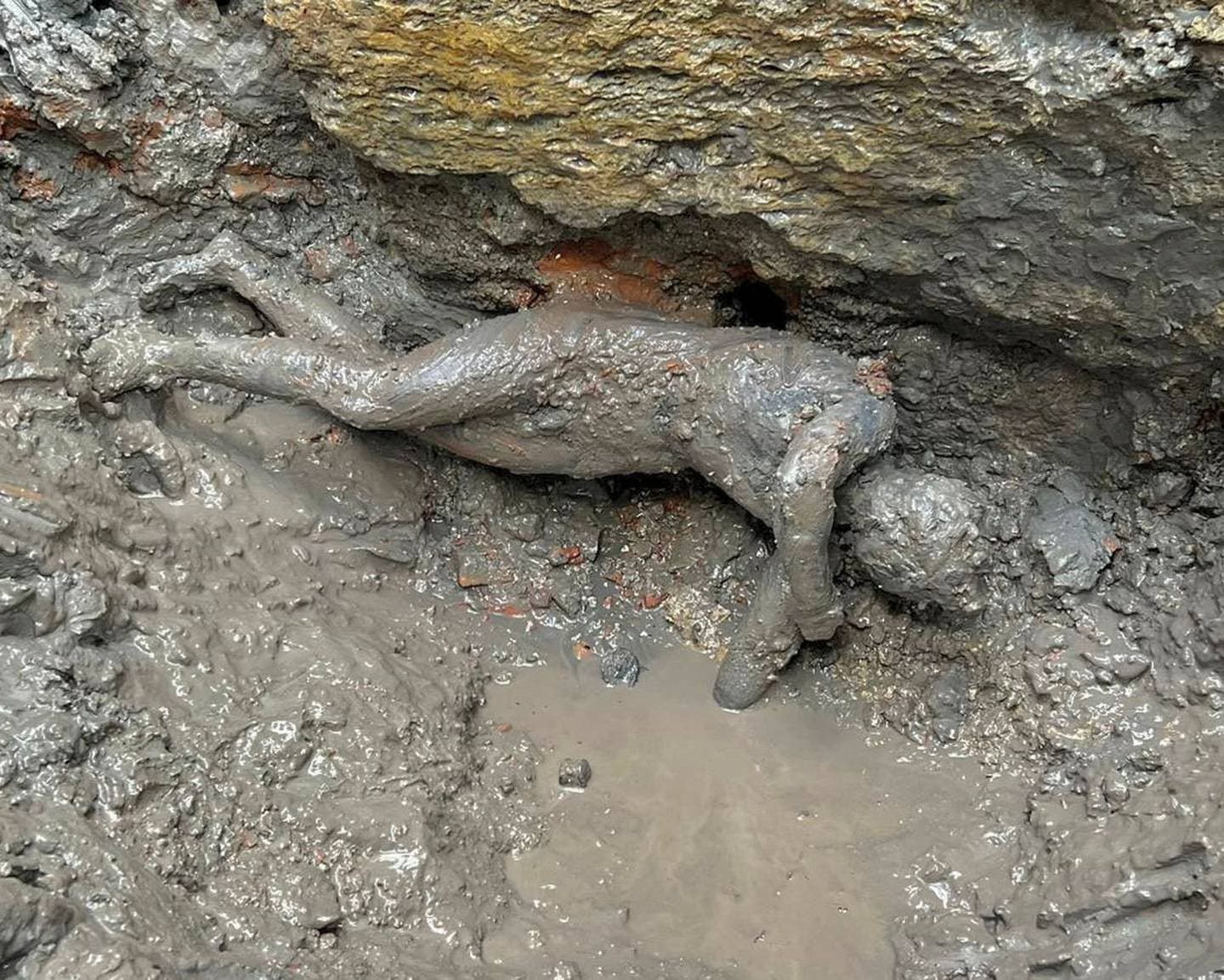 Arkeologët gjejnë në Itali statuja bronzi të para 2000 vjetëve (FOTO)