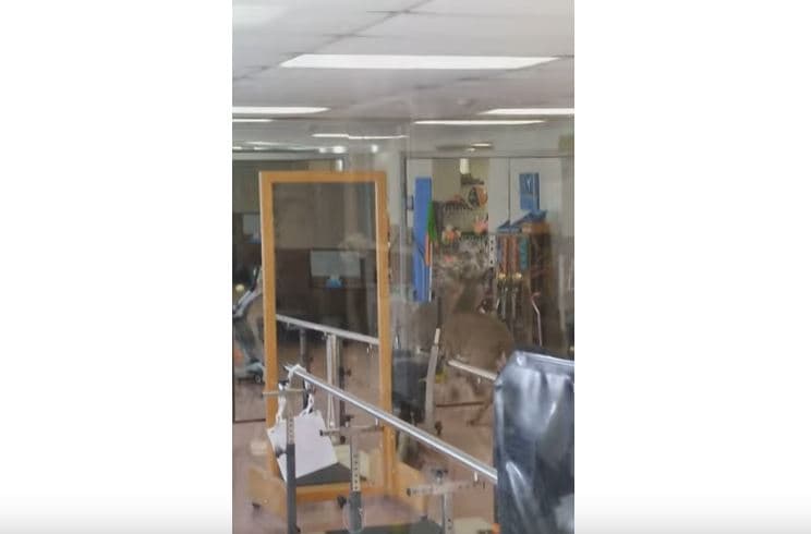 Dreri hyn brena shtëpisë së të moshuarve (VIDEO)