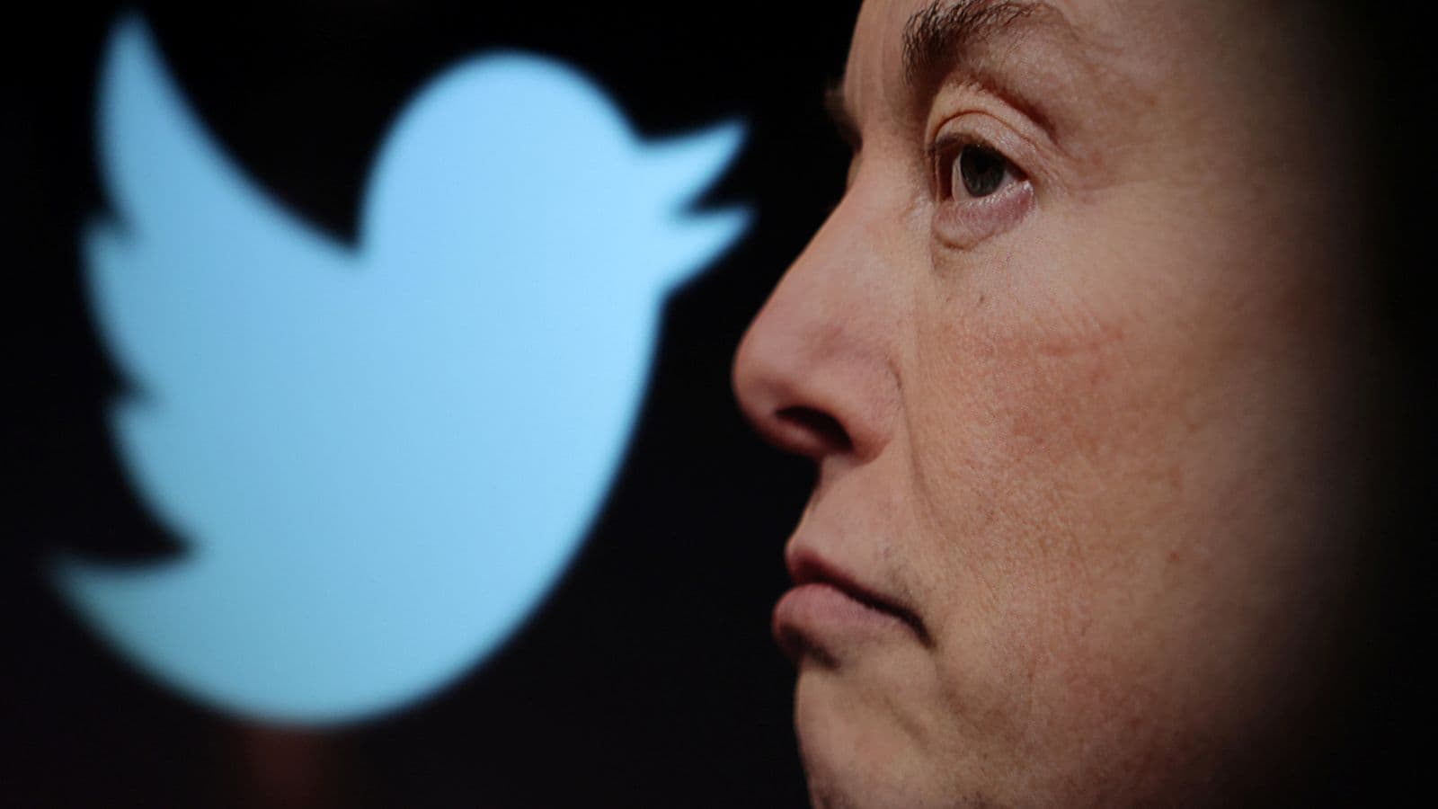 Twitter mbyll zyrat për shkak të 'frikës së sabotimit'