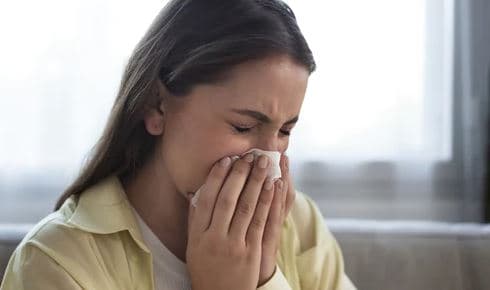 Pijet bimore që lehtësojnë alergjinë ndaj pluhurit