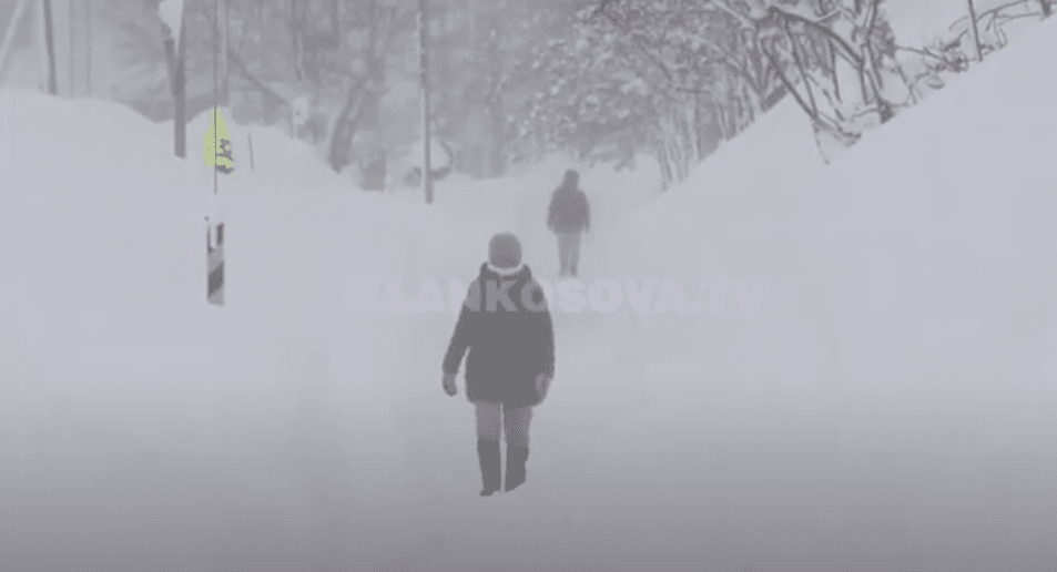 Bora e acari ngrijnë veriun japonez (VIDEO)