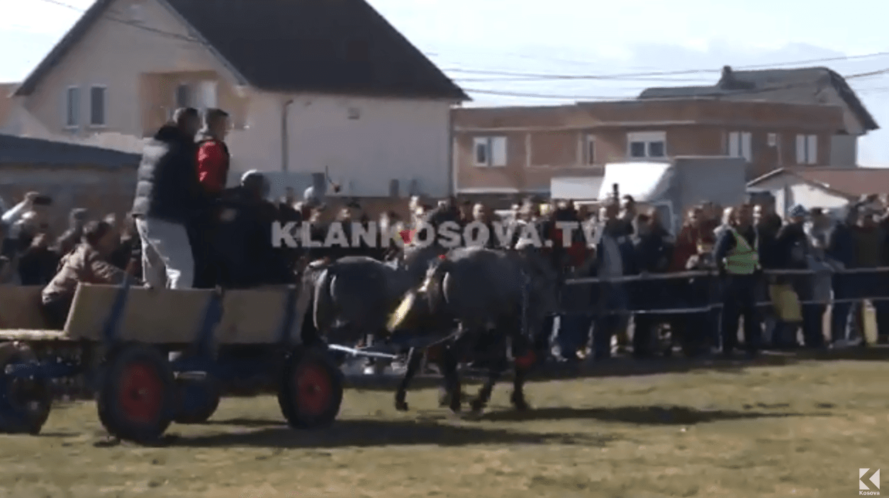Në Prelez të Muhaxherëve festohet duke organizuar garë kuajsh (VIDEO)