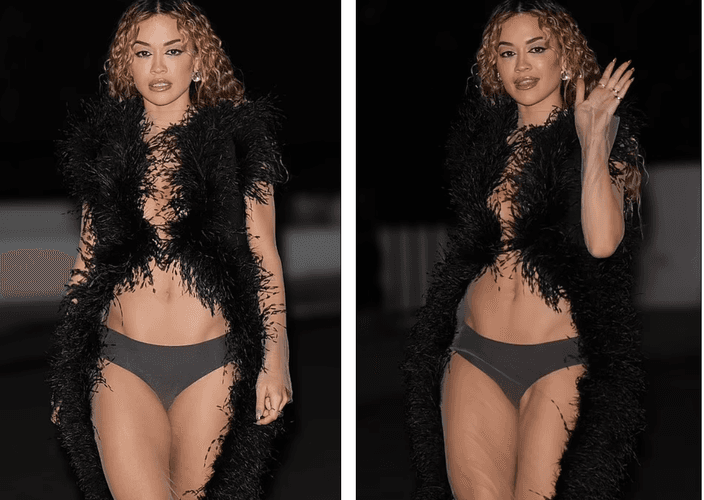 Rita Ora shfaqet me të brendshme në tapetin e kuq