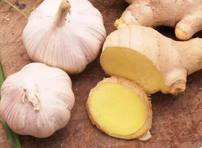 Si t'i mbani të freskëta xhenxhefilin dhe hudhrën?