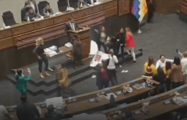 Shqelma, grushte, shkulje flokësh: Deputetët rivalë bolivianë përleshen në parlament (VIDEO)