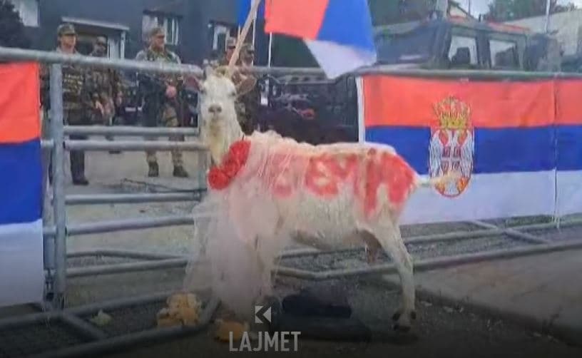 Serbët në Leposaviq ia vunë dhisë emrin e kryetarit Hetemi (VIDEO)